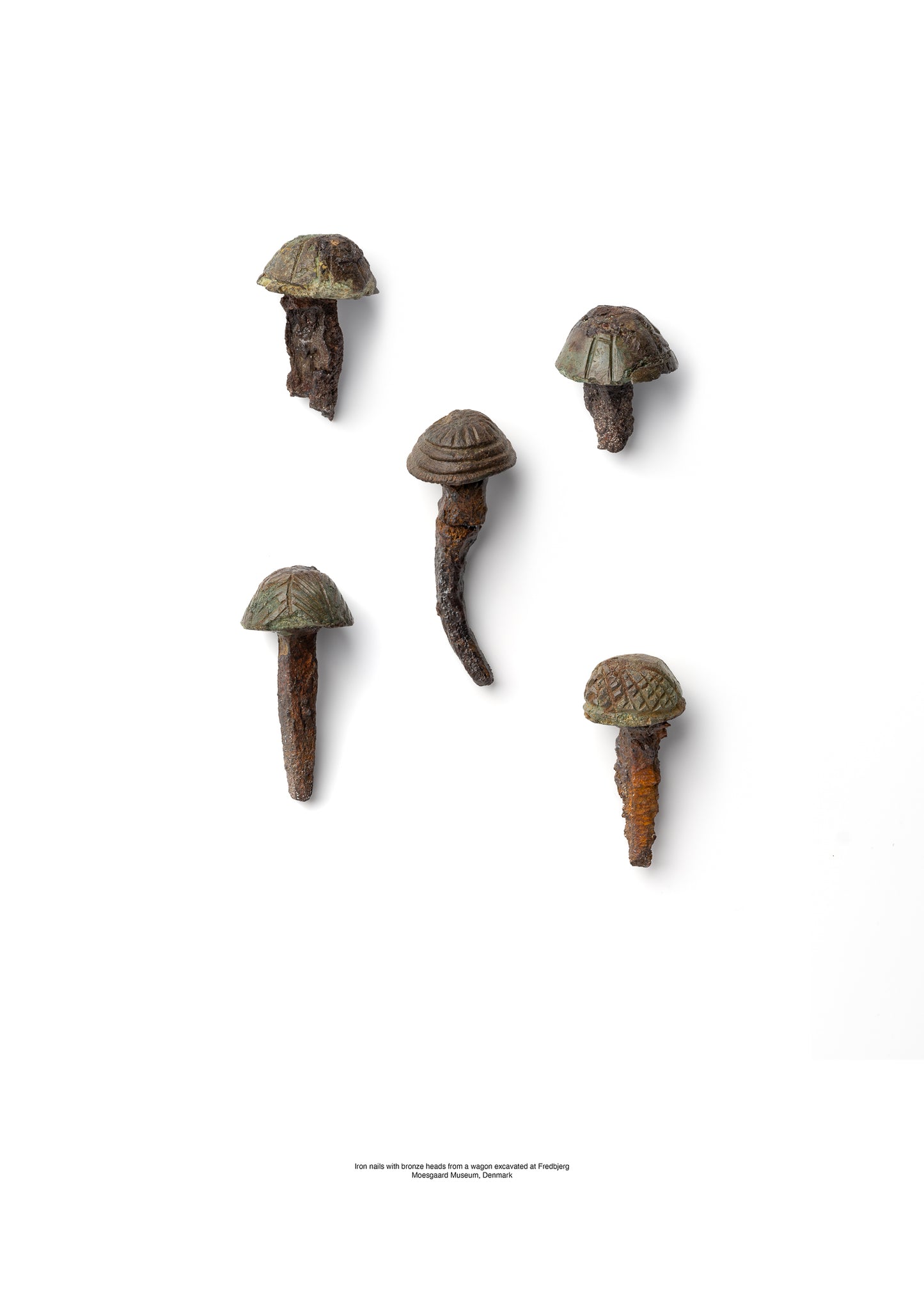 Iron Nails with Bronze Heads from Fæstedborg